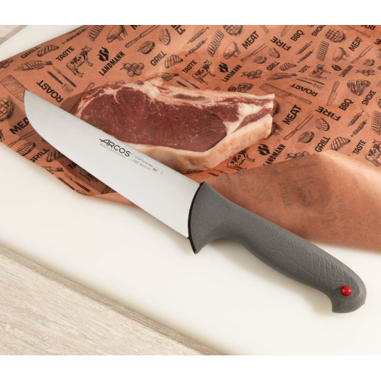 Arcos Cuchillo Carnicero Serie Colour Prof 250 mm 240500