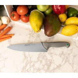 Arcos Cuchillo Cocinero Serie Colour Prof 250 mm 241100 Arcos Cuchillo Cocinero Serie Colour Prof 250 mm 241100