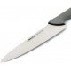 Arcos Cuchillo Cocinero Serie Colour Prof 250 mm 241100 Arcos Cuchillo Cocinero Serie Colour Prof 250 mm 241100