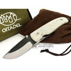 Citadel Chantha Tapioca Manta Raya