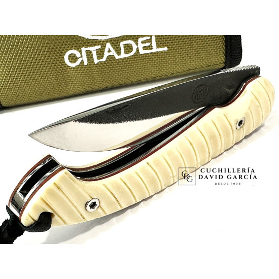 Citadel Trident "OS ZEBRA " Hueso tallado