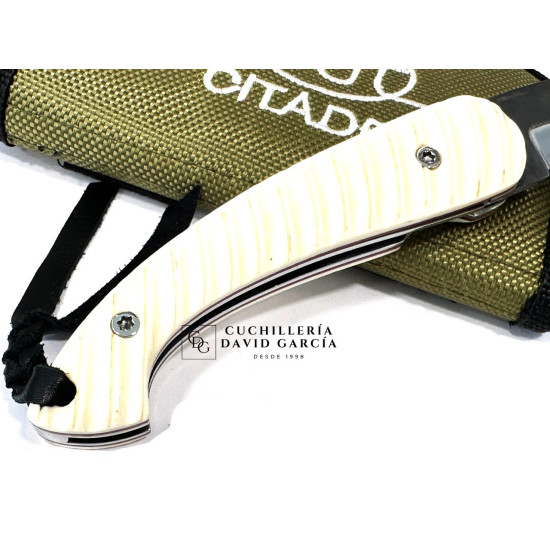 Citadel Trident "OS ZEBRA " Hueso tallado