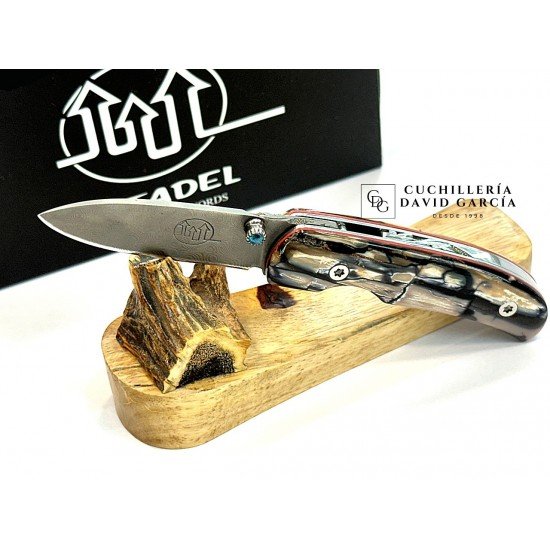 Citadel “Coubi Precious” Mamut Acero Damasco (M. Balbach)