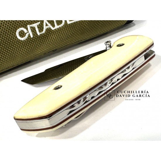 Citadel PTIT Paul Os Hueso pulido