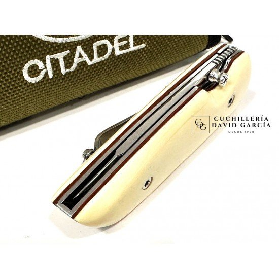 Citadel PTIT Paul Os Hueso pulido