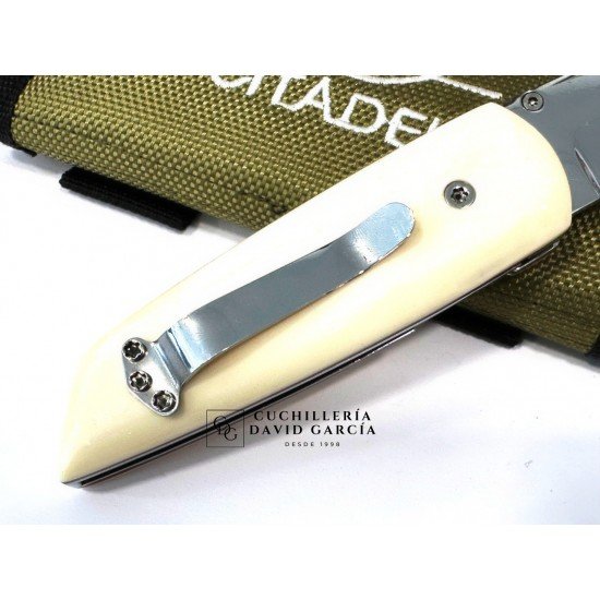 Citadel PTIT Paul Os Hueso pulido