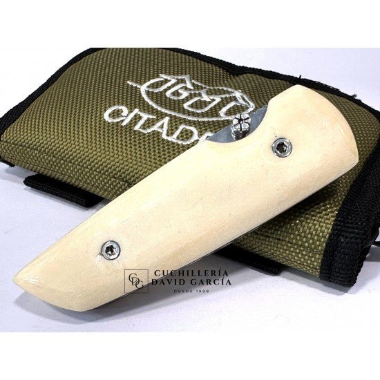 Citadel PTIT Paul Os Hueso pulido