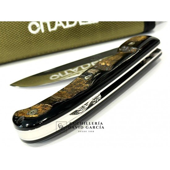 Citadel “Danang Golden Horn” Búfalo Dorado