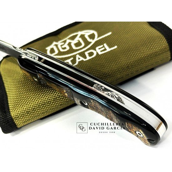 Citadel “Danang Golden Horn” Búfalo Dorado