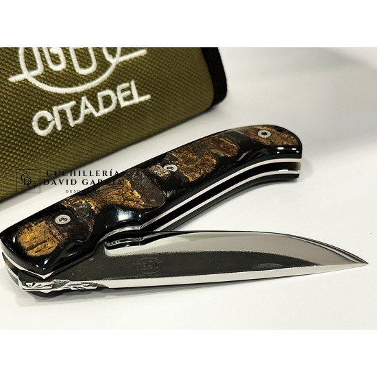 Citadel “Danang Golden Horn” Búfalo Dorado