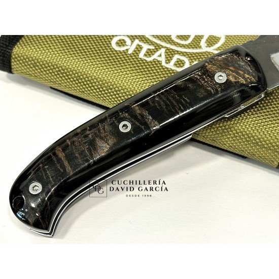 Citadel “Danang Golden Horn” Búfalo Dorado