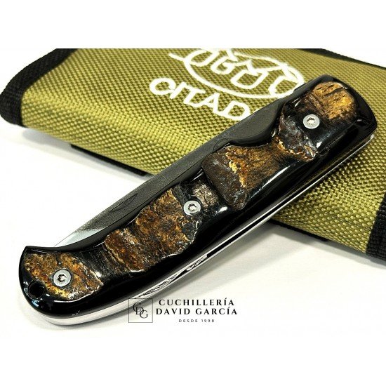 Citadel “Danang Golden Horn” Búfalo Dorado