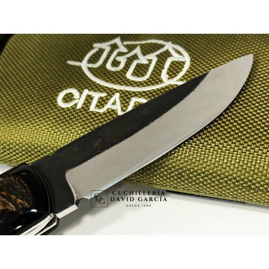 Citadel “Danang Golden Horn” Búfalo Dorado