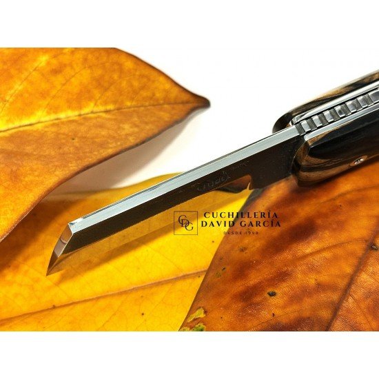Citadel Torpedo Ébano Real 