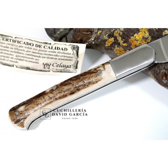 Celaya Cabritera Deer Antler Stainless Steel Ferrule Pocket Knife 2301-VI/C