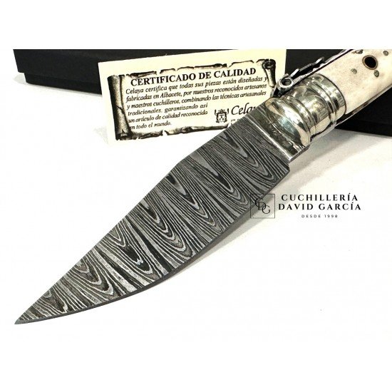 Celaya Punta Ciervo Pulido Adornada Damasco