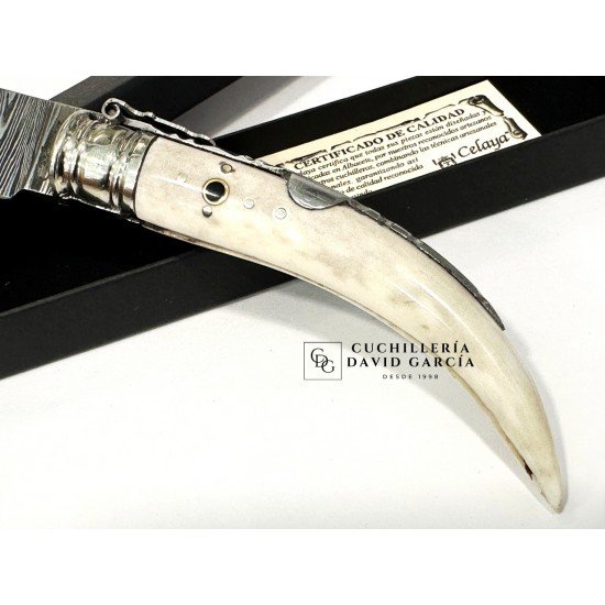 Celaya Punta Ciervo Pulido Adornada Damasco