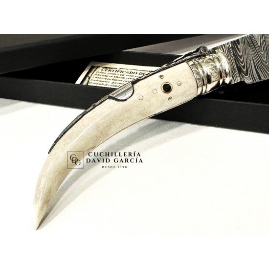 Celaya Punta Ciervo Pulido Adornada Damasco