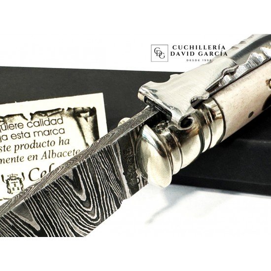 Celaya Punta Ciervo Pulido Adornada Damasco