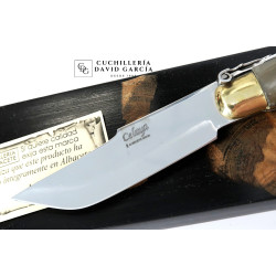 Celaya Clásica Albaceteña Cintillos Asta Toro  2201-T