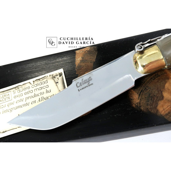 Celaya Clásica Albaceteña Cintillos Asta Toro  2201-T