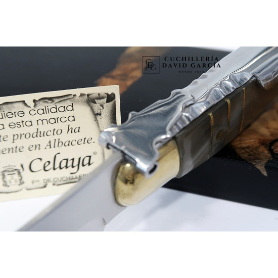 Celaya Clásica Albaceteña Cintillos Asta Toro  2201-T