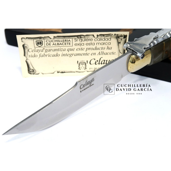 Celaya Clásica Albaceteña Cintillos Asta Toro  2201-T