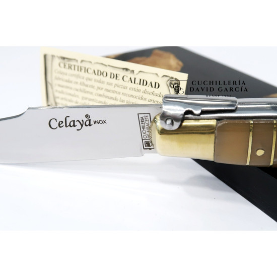 Celaya Clásica Albaceteña Cintillos Asta Toro  2202-T