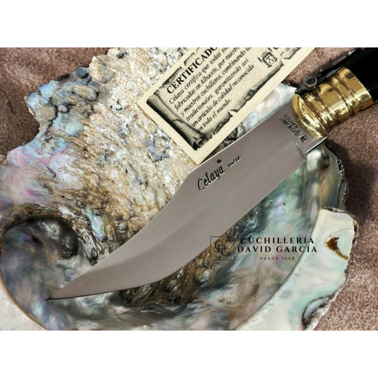 Celaya 2401-BU/A Bandolera Artesanal Asta Búfalo / Carraca    