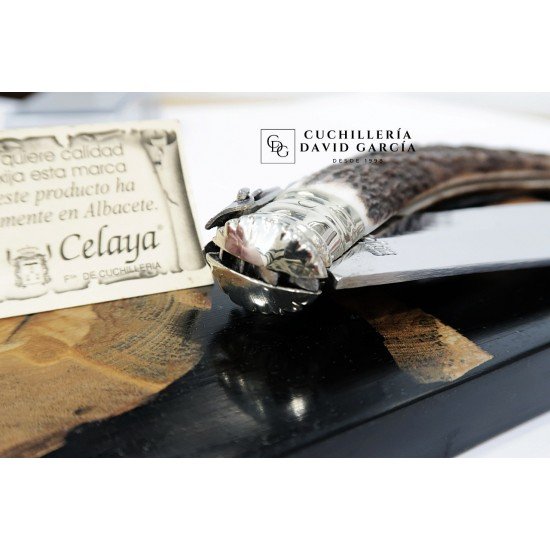 Celaya Navaja Artesanía  Punta Ciervo/Carraca