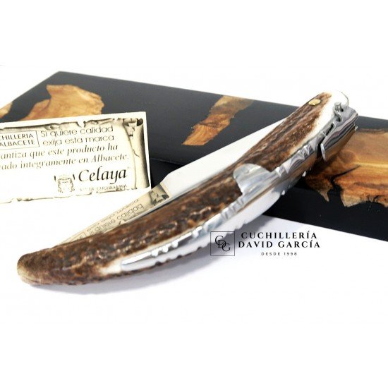 Celaya Navaja Artesanía  Punta Ciervo Tapita/Carraca 