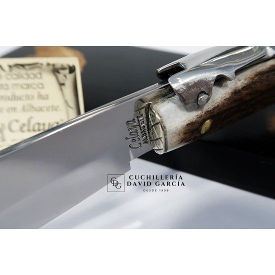 Celaya Navaja Artesanía  Punta Ciervo Tapita/Carraca 