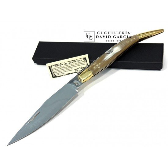 Juan Antonio Martínez Celaya " El Abuelo"  Asta Toro