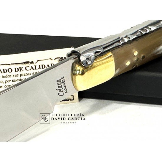 Juan Antonio Martínez Celaya " El Abuelo"  Asta Toro