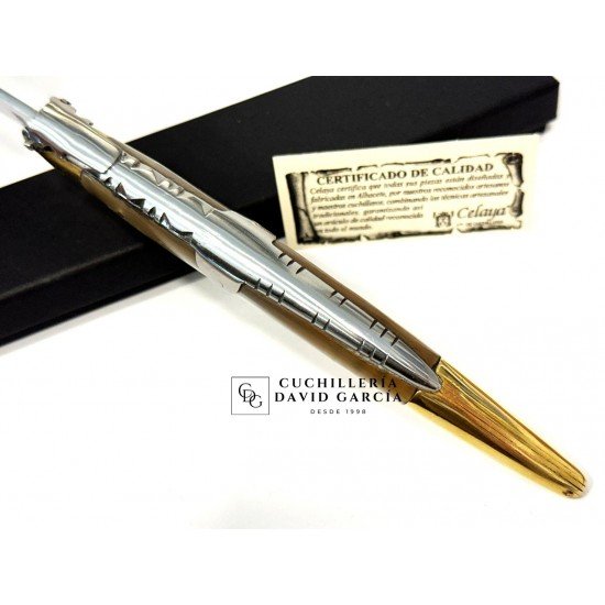 Juan Antonio Martínez Celaya " El Abuelo"  Asta Toro