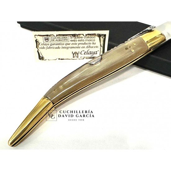 Juan Antonio Martínez Celaya " El Abuelo"  Asta Toro