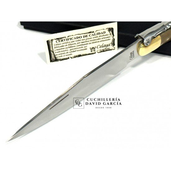 Juan Antonio Martínez Celaya " El Abuelo"  Asta Toro