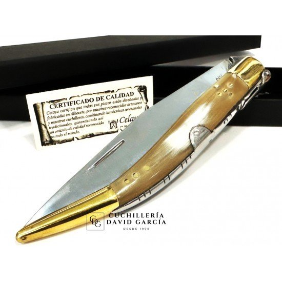 Juan Antonio Martínez Celaya " El Abuelo"  Asta Toro