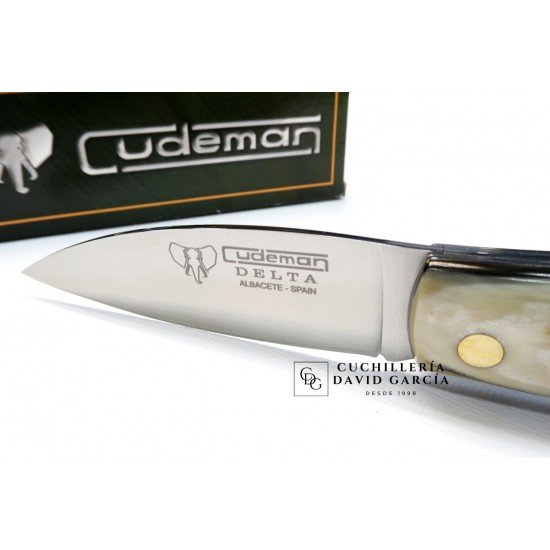 Cudeman Delta 344-A Asta de Toro 