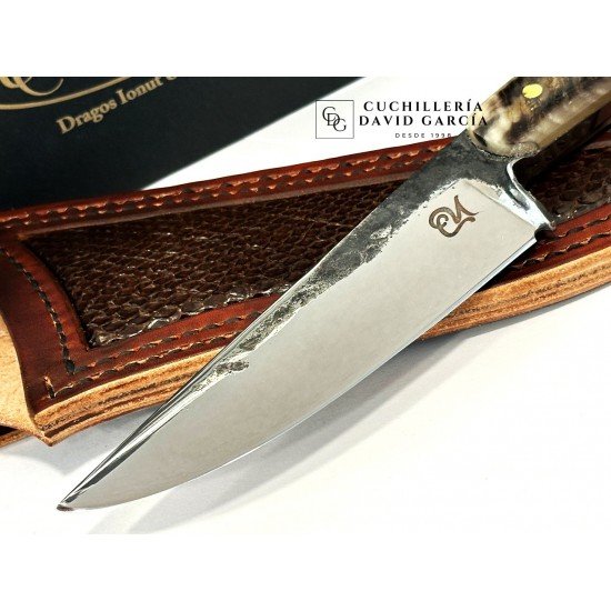 Dragos Lonut Cuchillo Dragos Lonut Cuchillo