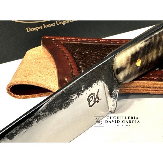 Dragos Lonut Cuchillo Dragos Lonut Cuchillo
