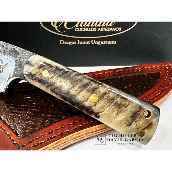 Dragos Lonut Cuchillo Dragos Lonut Cuchillo