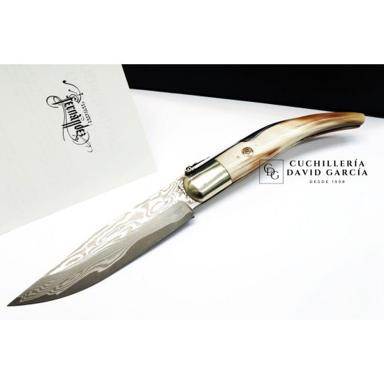 Fernandez Penknife with Indian Zebu Horn Point Damascus Steel