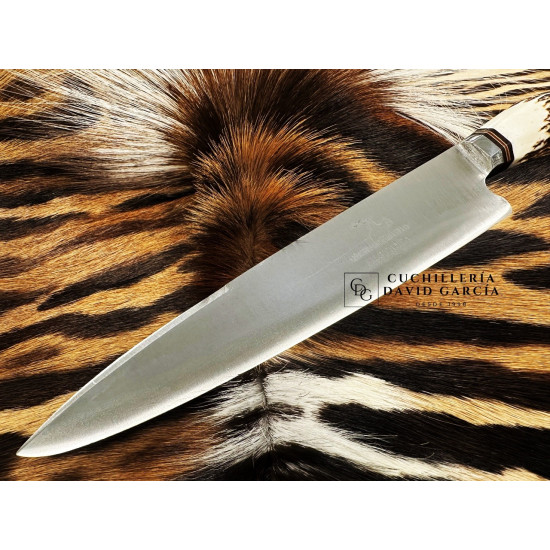 Filopampa Cuchillo Criollo Argentino  Asta de Ciervo -  Acero Inoxidable 440 Premium