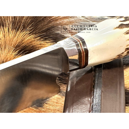 Filopampa Cuchillo Criollo Argentino  Asta de Ciervo -  Acero Inoxidable 440 Premium