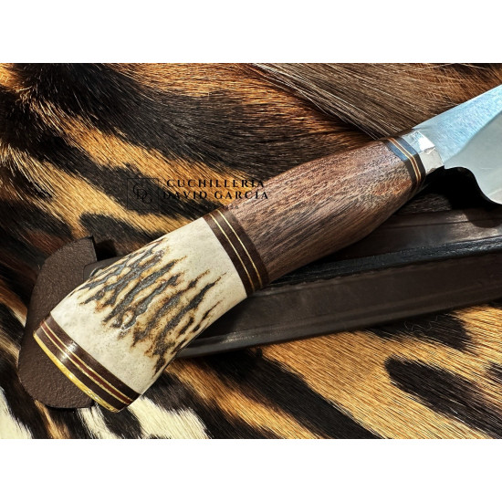 Filopampa Cuchillo Criollo Argentino Made de Itín Violacea y Asta de Ciervo -  Acero Inoxidable 440 Premium