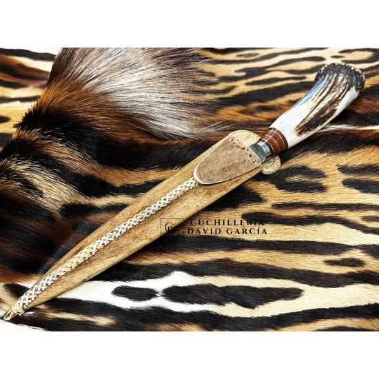 Filopampa Cuchillo Criollo Argentino Asta de Ciervo con roseta -  Acero Carbono 51-60 Forjado Cromo