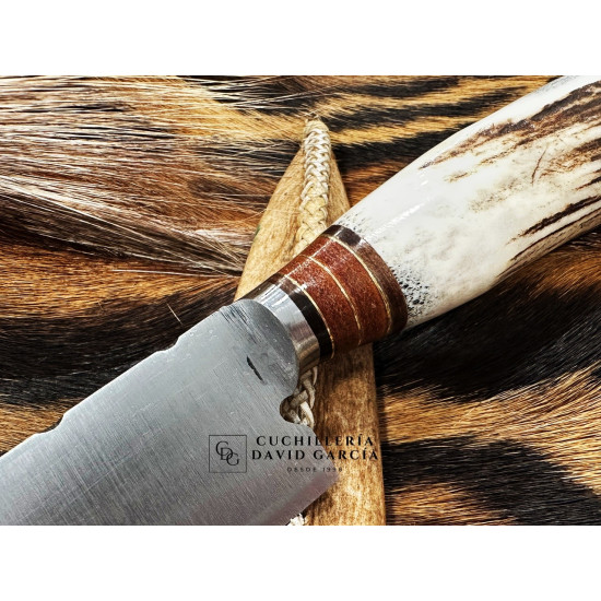Filopampa Cuchillo Criollo Argentino Asta de Ciervo con roseta -  Acero Carbono 51-60 Forjado Cromo