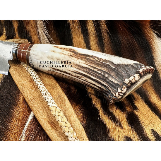 Filopampa Cuchillo Criollo Argentino Asta de Ciervo con roseta -  Acero Carbono 51-60 Forjado Cromo