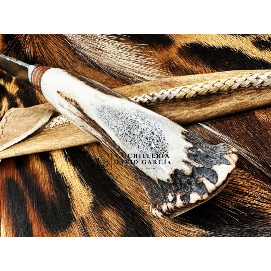 Filopampa Cuchillo Criollo Argentino Asta de Ciervo con roseta -  Acero Carbono 51-60 Forjado Cromo